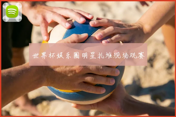 世界杯娱乐圈明星扎堆现场观赛