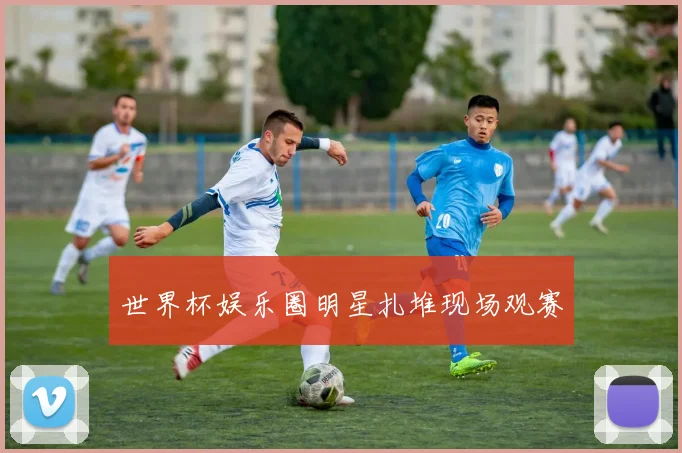 世界杯娱乐圈明星扎堆现场观赛