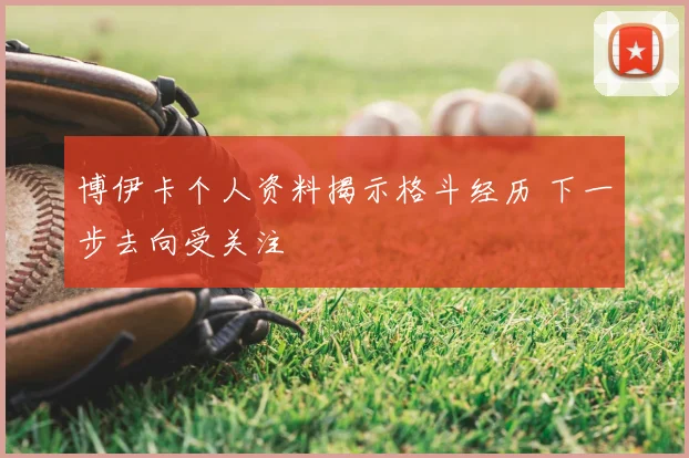 博伊卡个人资料揭示格斗经历 下一步去向受关注