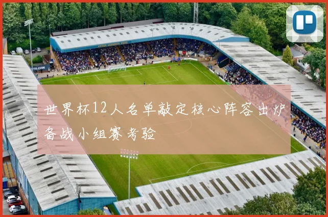 世界杯12人名单敲定核心阵容出炉备战小组赛考验