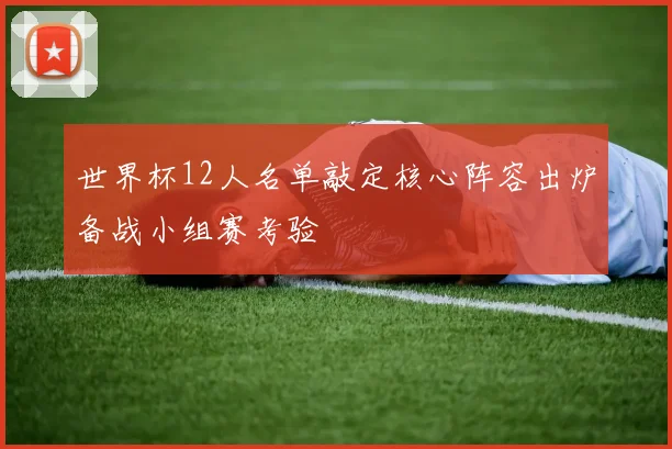 世界杯12人名单敲定核心阵容出炉备战小组赛考验