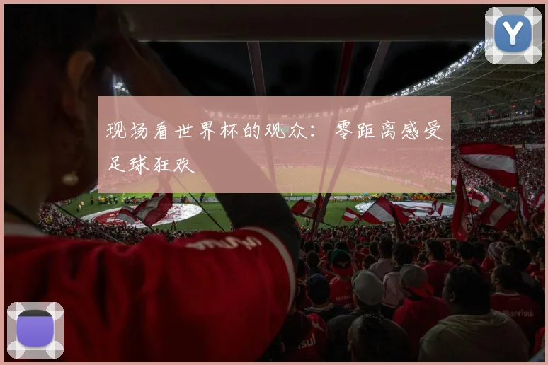 现场看世界杯的观众:零距离感受足球狂欢