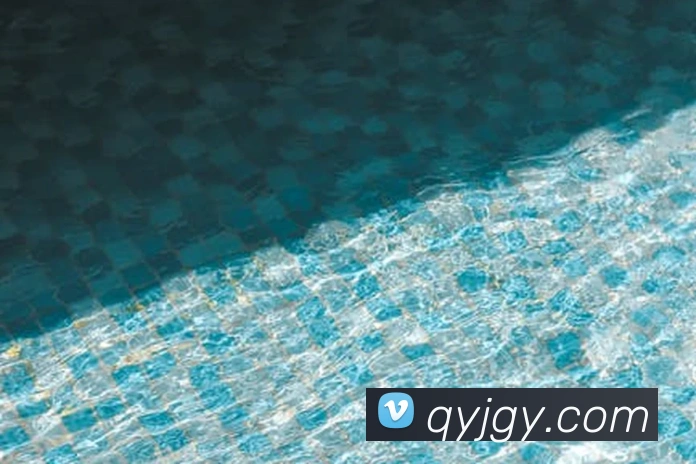 世界杯官网登录app平台生态图